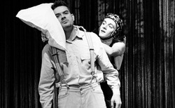 81990874-600099030784263-420510129008410624-n_250x154_crop_478b24840a