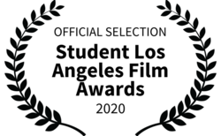 download_250x154_crop_478b24840a