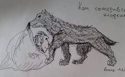 toshko5_250x154_crop_478b24840a