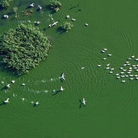 s_280x280_crop_478b24840a