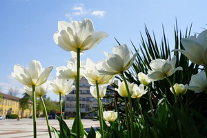 gabrovo-kulturni-novini_300x200_crop_478b24840a