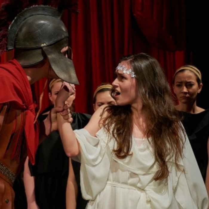 trojanki_700x700_crop_478b24840a