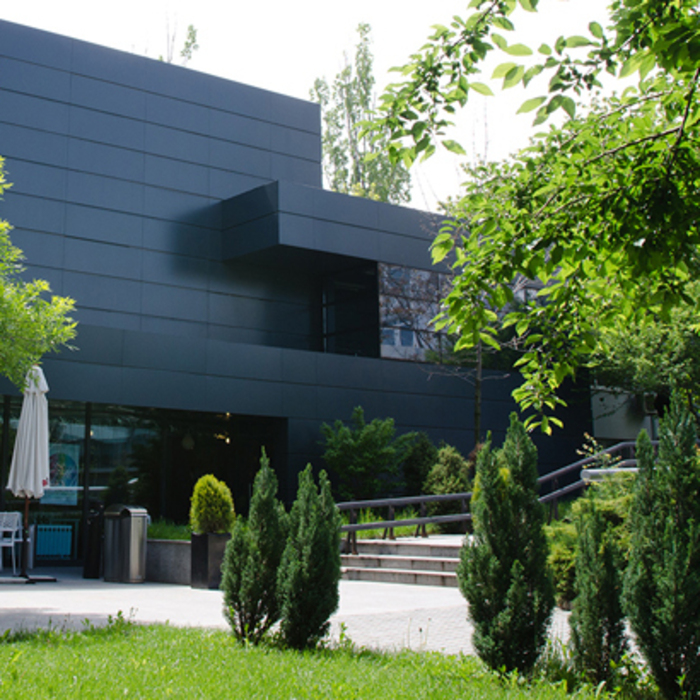 nova-piesa_700x700_crop_478b24840a