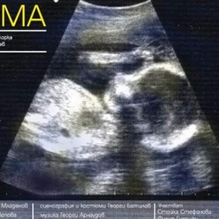 blagotworitelen_700x700_crop_478b24840a