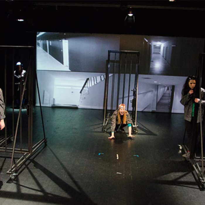 izhod_700x700_crop_478b24840a