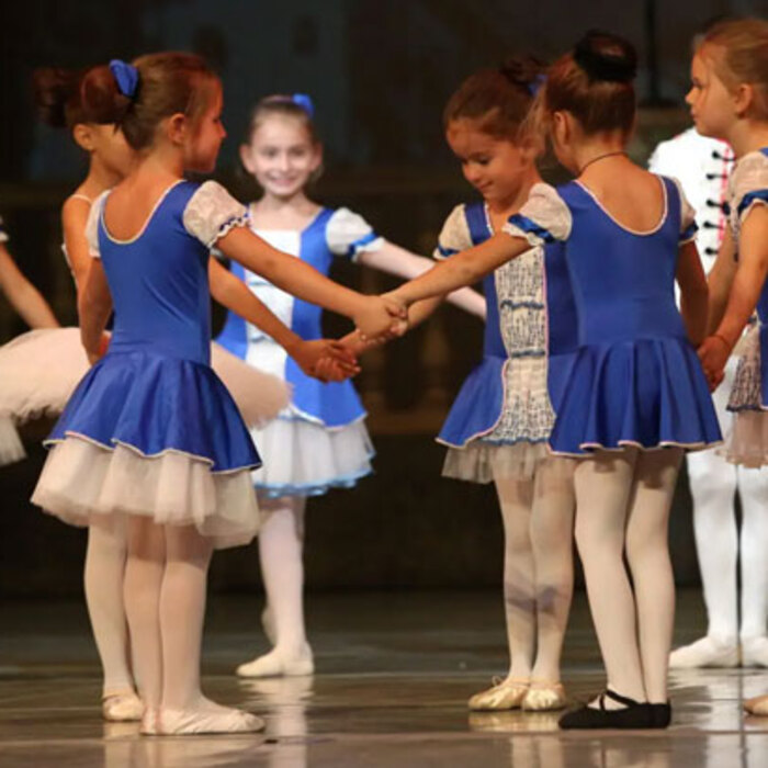 chestit-jiubilei_700x700_crop_478b24840a