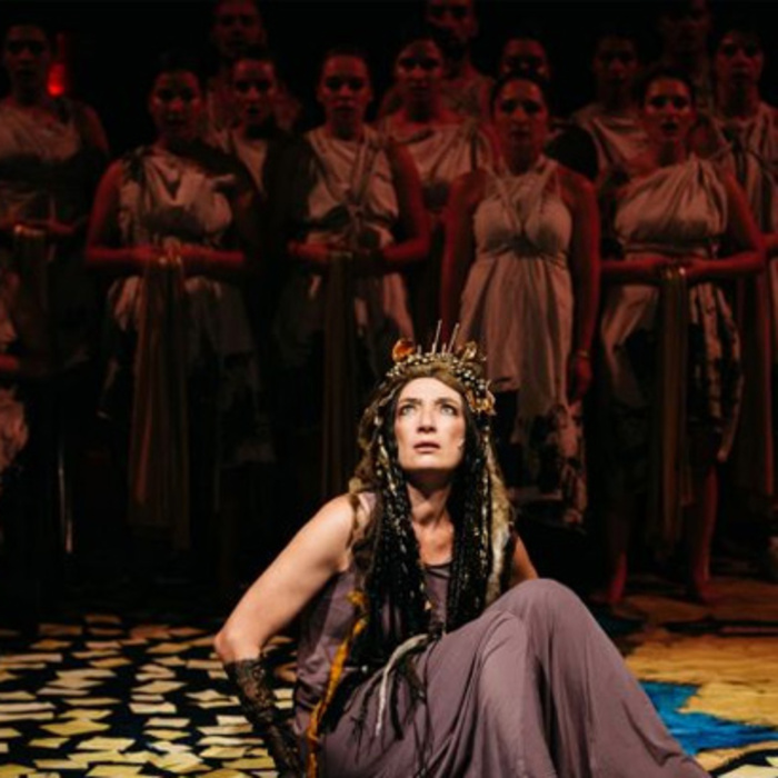 medeq_700x700_crop_478b24840a