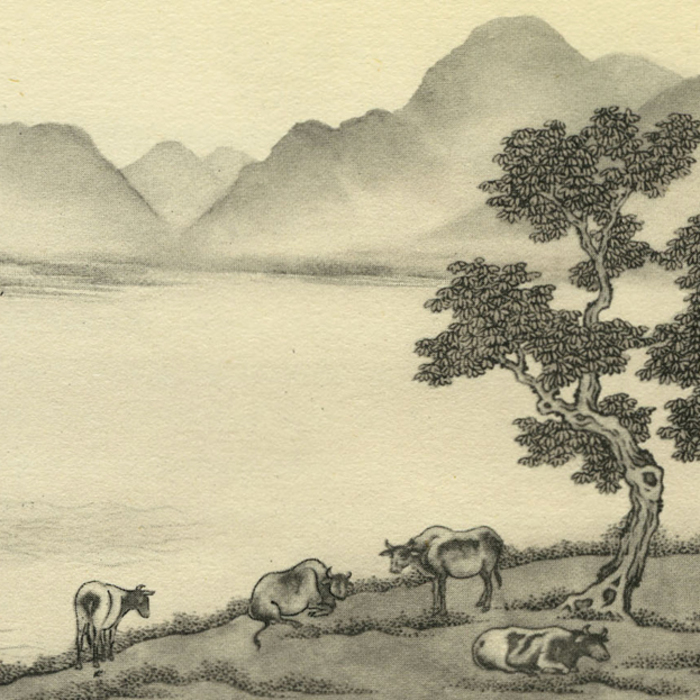 fig3-cows-derwentwater-1_700x700_crop_478b24840a