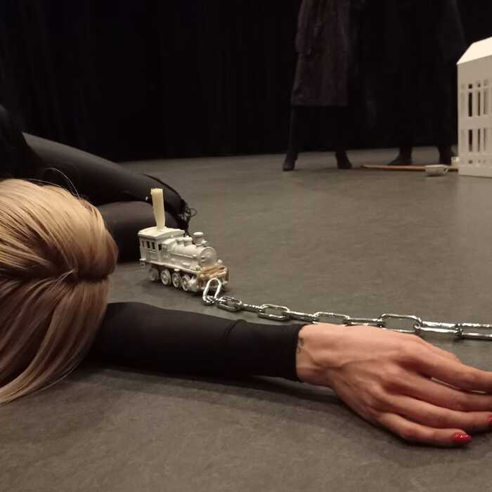 vishnevi_700x700_crop_478b24840a